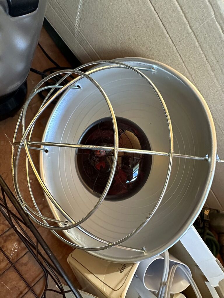 Heat lamp with guard